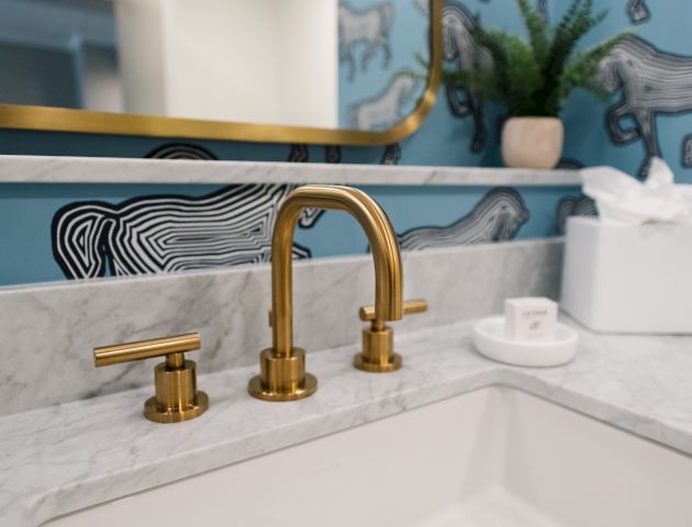 A bathroom sink with a gold faucet, blue wallpaper featuring abstract zebra designs, a tissue box, a plant, and a small soap dish.