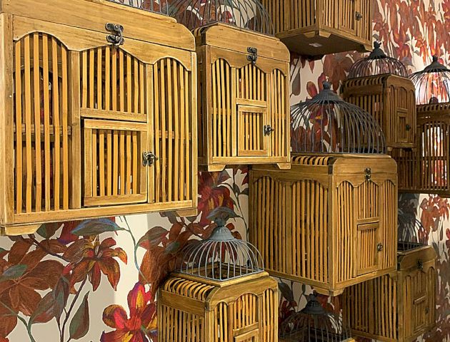 The image shows multiple wooden birdcages of different sizes arranged on a wall with floral wallpaper. The cages are empty.