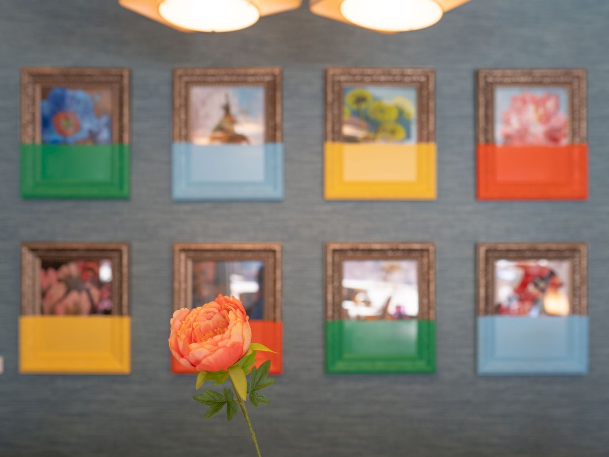 The image shows a wall with eight framed pictures, each partially covered in vibrant colors, with an orange flower in the foreground.