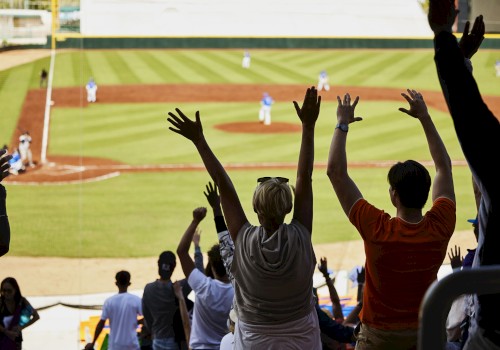 Fans in a stadium cheer with raised arms while watching a baseball game, with players and a field in the background.