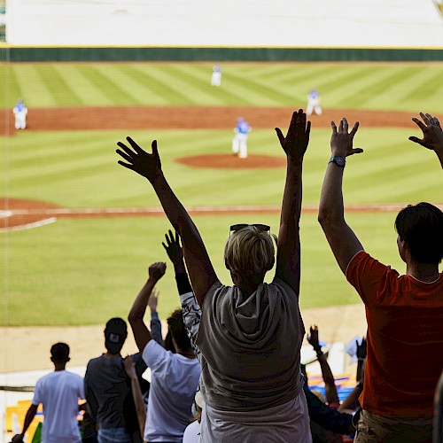 Fans in a stadium cheer with raised arms while watching a baseball game, with players and a field in the background.