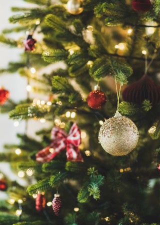 A decorated Christmas tree with lights, red ornaments, a gold bauble, and a red checkered bow.